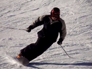 Monoski Microboard, iksonom